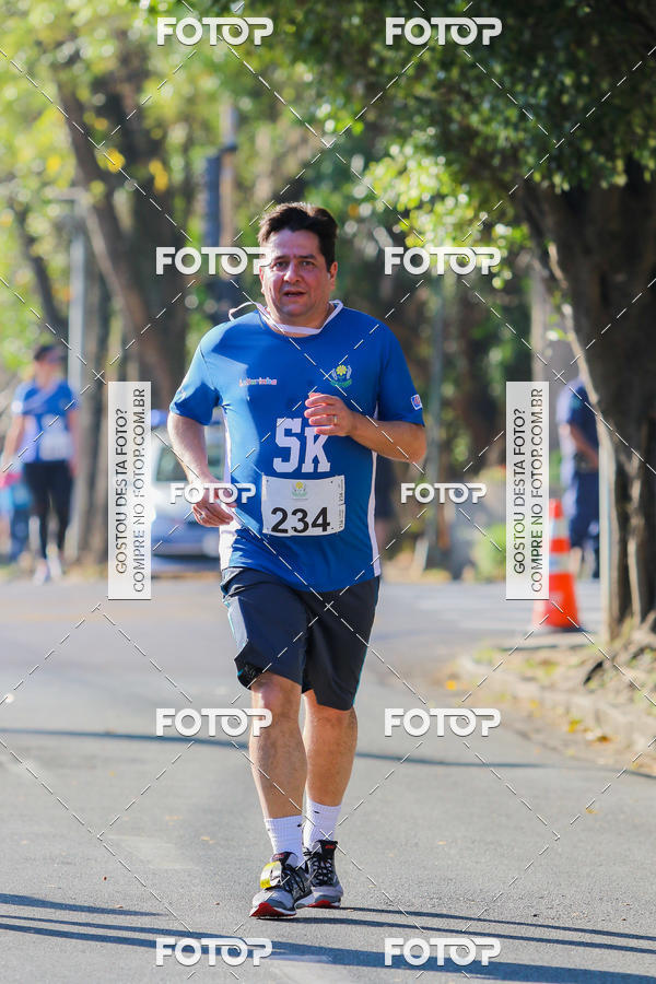 Buy your photos of the event7� Corrida APAE  - Po�os de Caldas - MG on Fotop