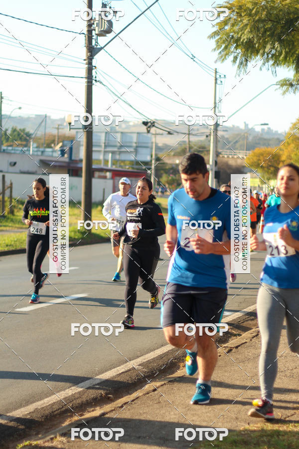 Buy your photos of the event7� Corrida APAE  - Po�os de Caldas - MG on Fotop