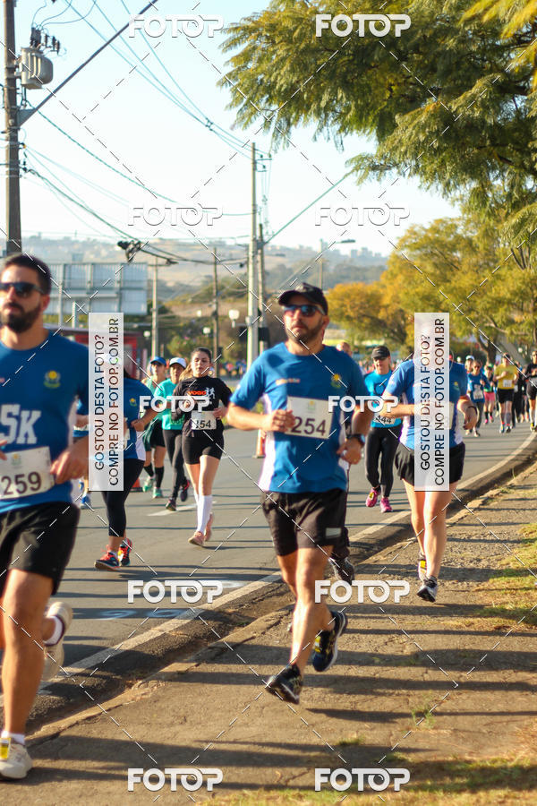 Buy your photos of the event7� Corrida APAE  - Po�os de Caldas - MG on Fotop