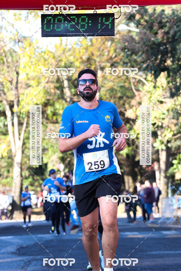 Buy your photos of the event7� Corrida APAE  - Po�os de Caldas - MG on Fotop