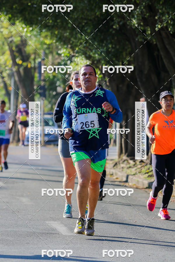 Buy your photos of the event7� Corrida APAE  - Po�os de Caldas - MG on Fotop
