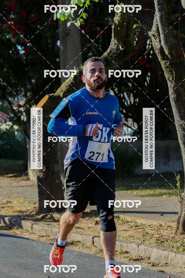 Buy your photos of the event7� Corrida APAE  - Po�os de Caldas - MG on Fotop