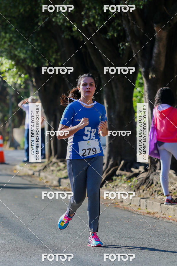 Buy your photos of the event7� Corrida APAE  - Po�os de Caldas - MG on Fotop