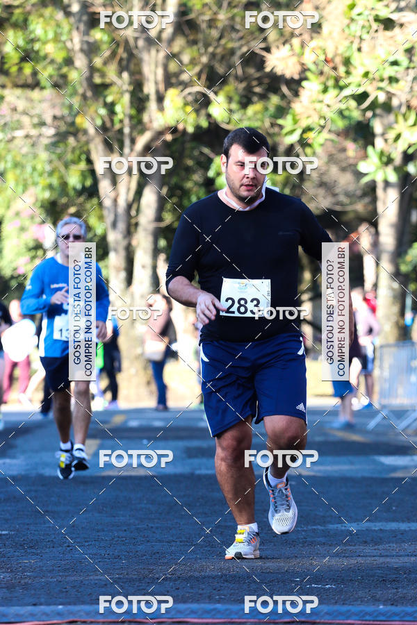 Buy your photos of the event7� Corrida APAE  - Po�os de Caldas - MG on Fotop