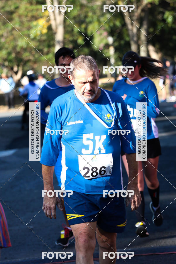 Buy your photos of the event7� Corrida APAE  - Po�os de Caldas - MG on Fotop