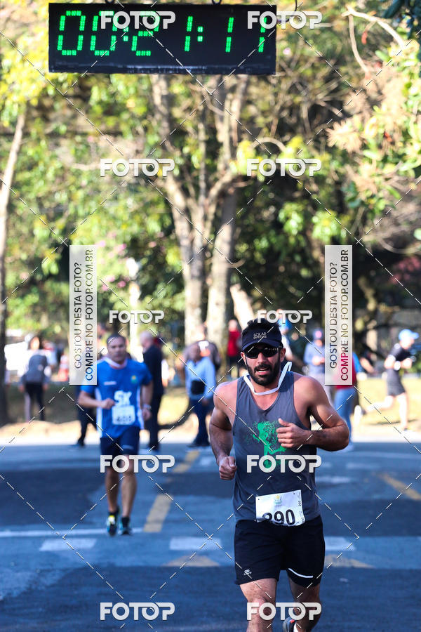 Buy your photos of the event7� Corrida APAE  - Po�os de Caldas - MG on Fotop