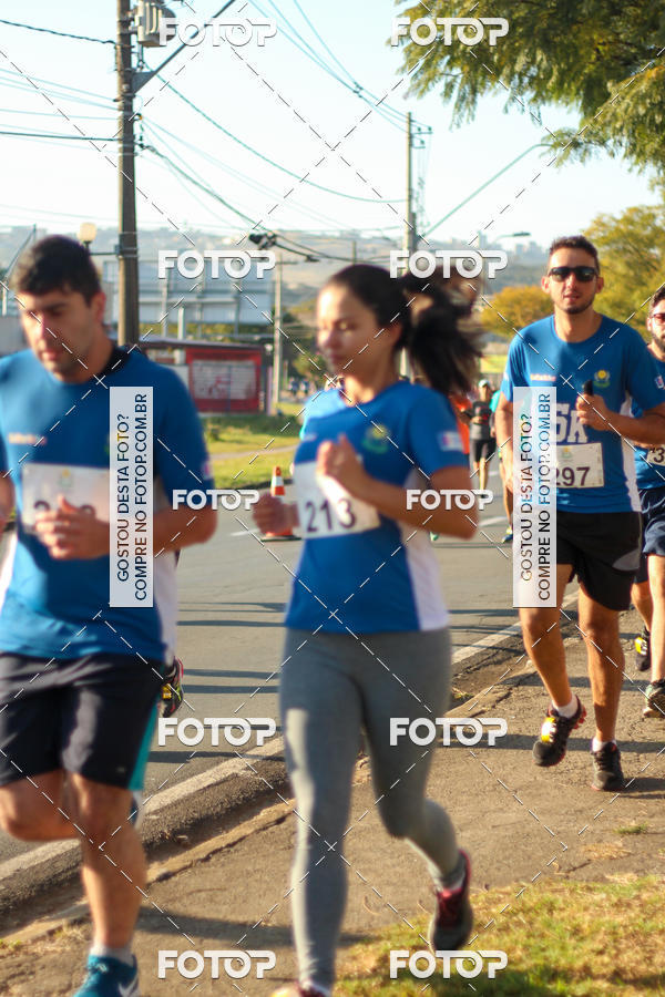 Buy your photos of the event7� Corrida APAE  - Po�os de Caldas - MG on Fotop