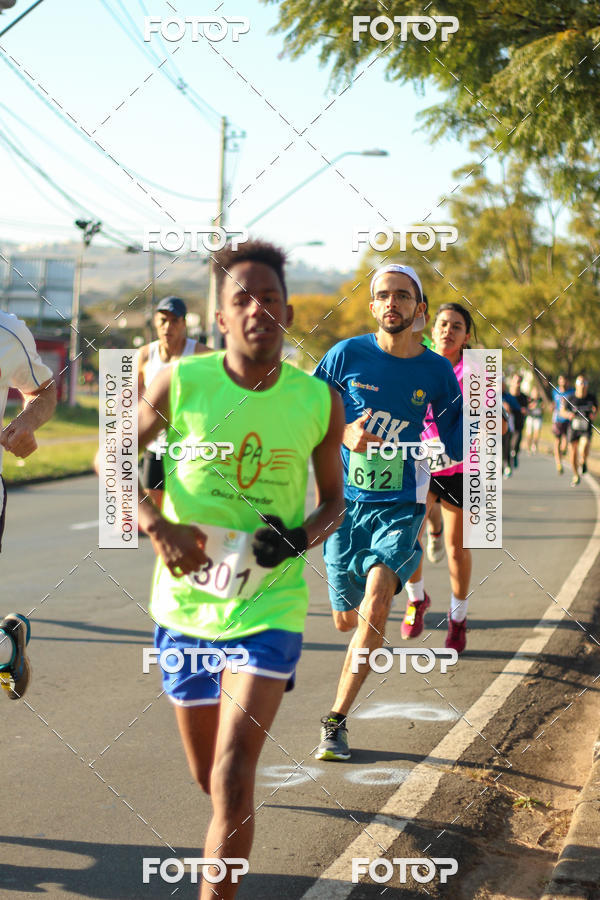 Buy your photos of the event7� Corrida APAE  - Po�os de Caldas - MG on Fotop