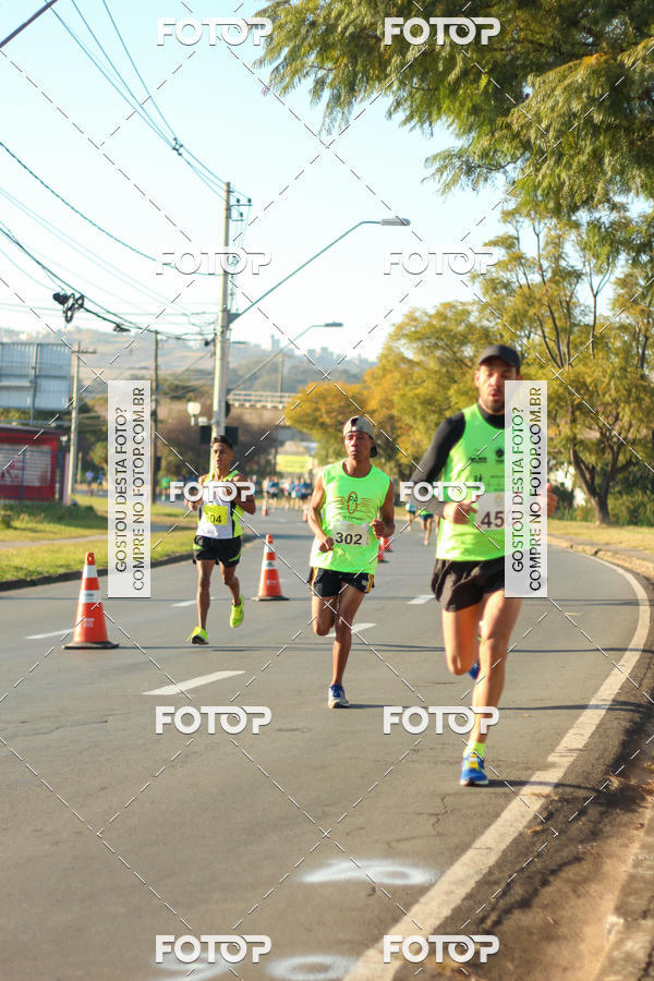 Buy your photos of the event7� Corrida APAE  - Po�os de Caldas - MG on Fotop