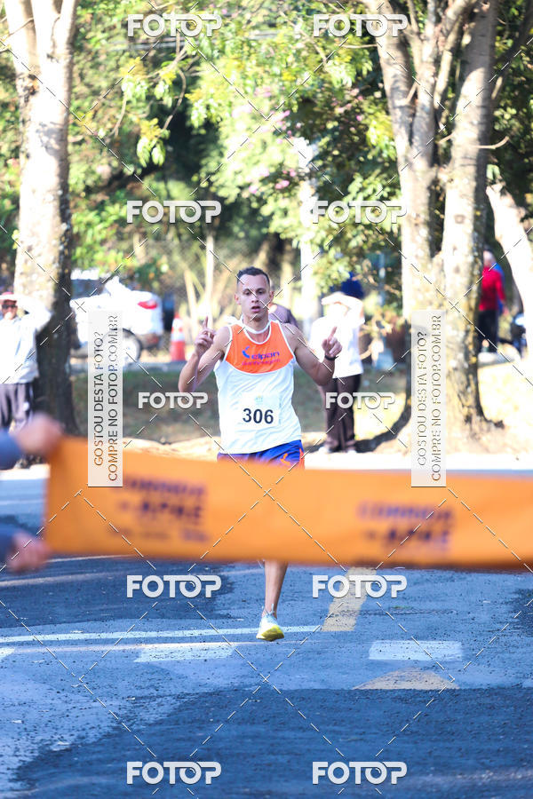 Buy your photos of the event7� Corrida APAE  - Po�os de Caldas - MG on Fotop