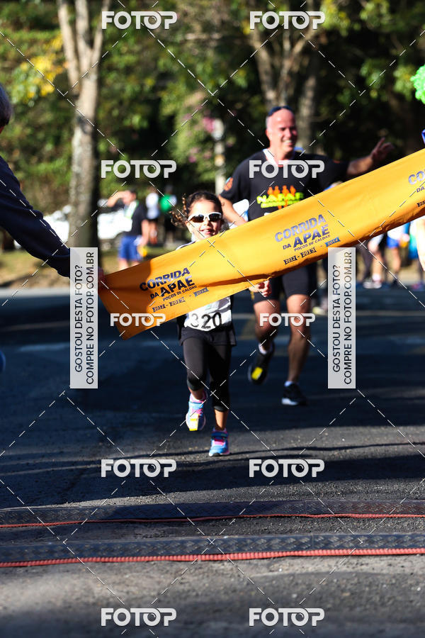 Buy your photos of the event7� Corrida APAE  - Po�os de Caldas - MG on Fotop