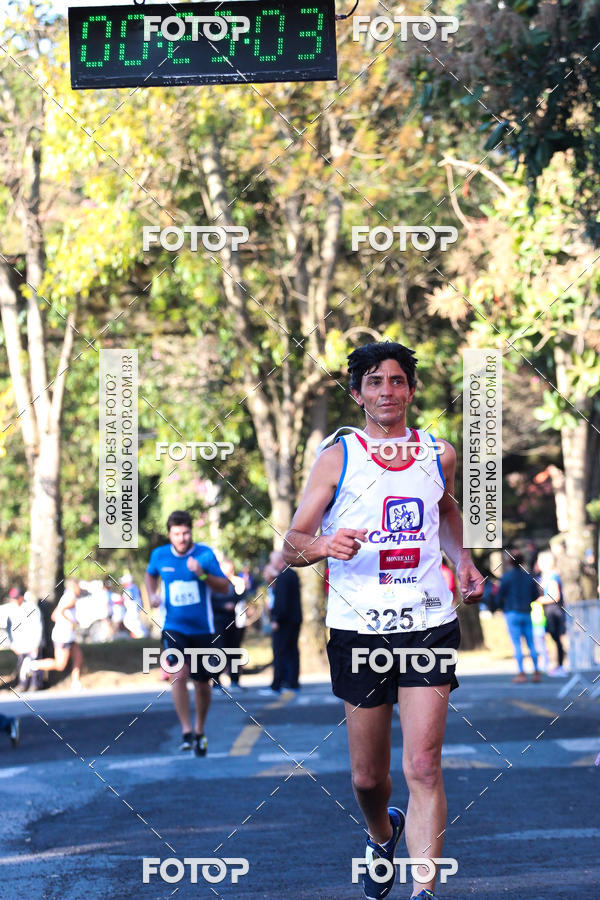 Buy your photos of the event7� Corrida APAE  - Po�os de Caldas - MG on Fotop