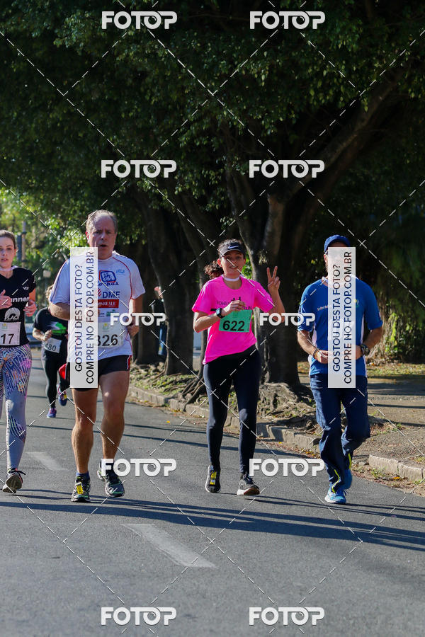 Buy your photos of the event7� Corrida APAE  - Po�os de Caldas - MG on Fotop
