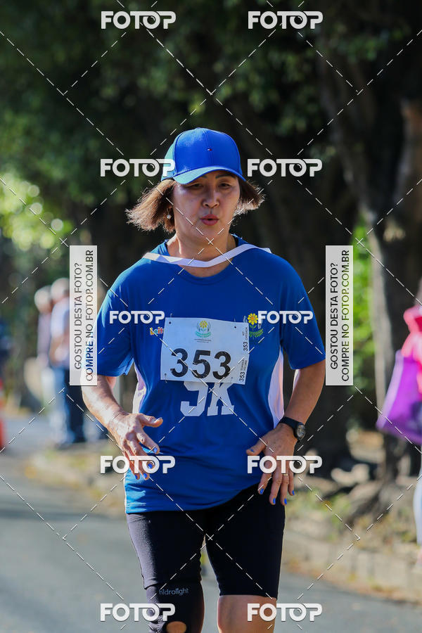 Buy your photos of the event7� Corrida APAE  - Po�os de Caldas - MG on Fotop