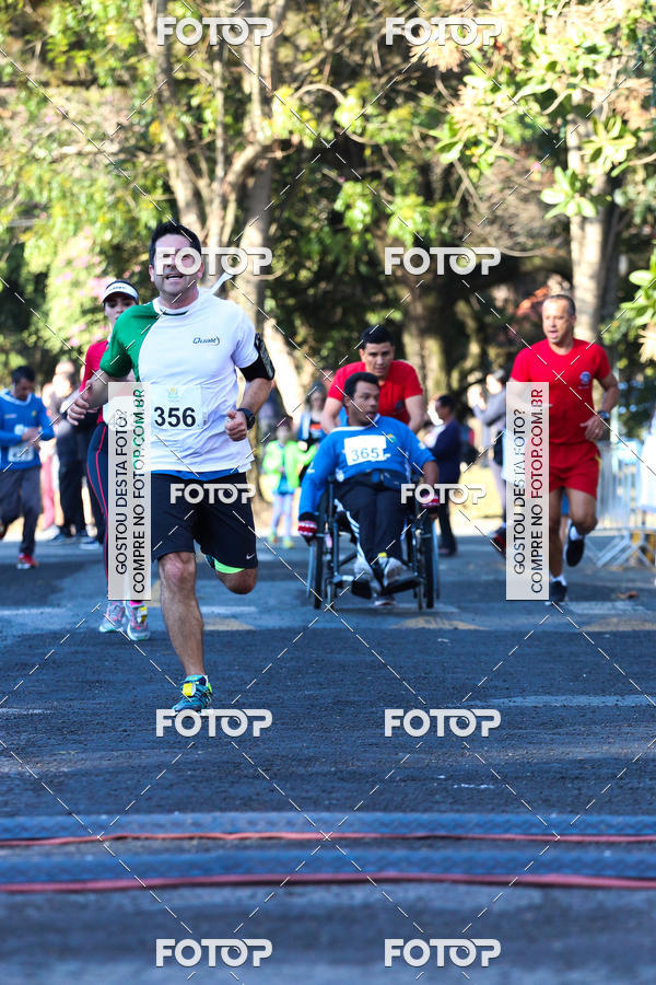 Buy your photos of the event7� Corrida APAE  - Po�os de Caldas - MG on Fotop