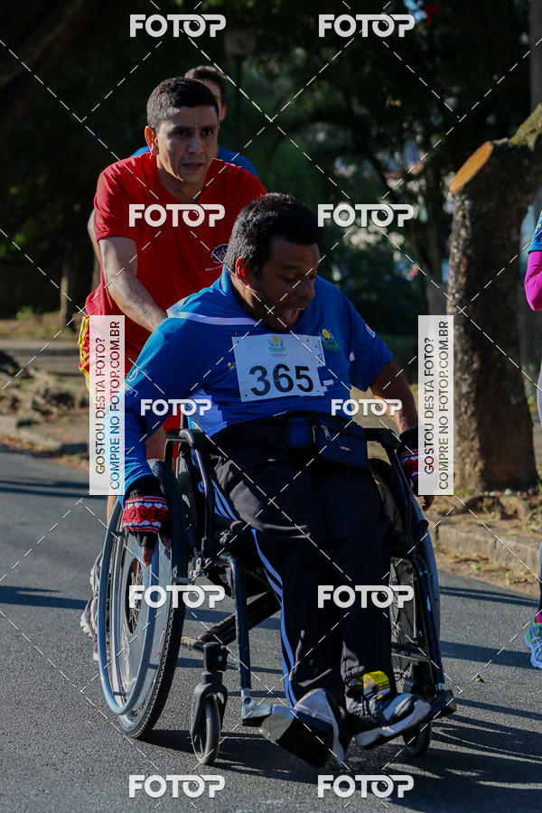 Buy your photos of the event7� Corrida APAE  - Po�os de Caldas - MG on Fotop