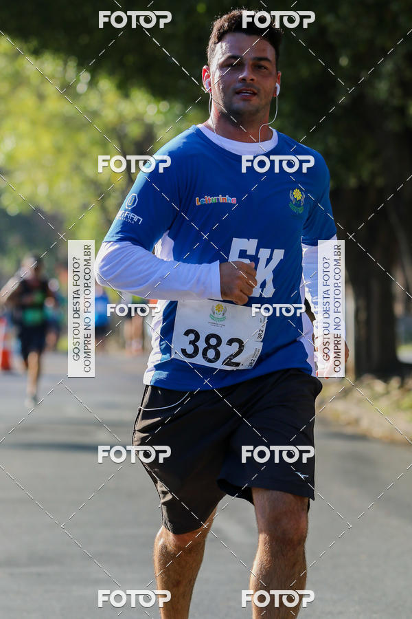 Buy your photos of the event7� Corrida APAE  - Po�os de Caldas - MG on Fotop