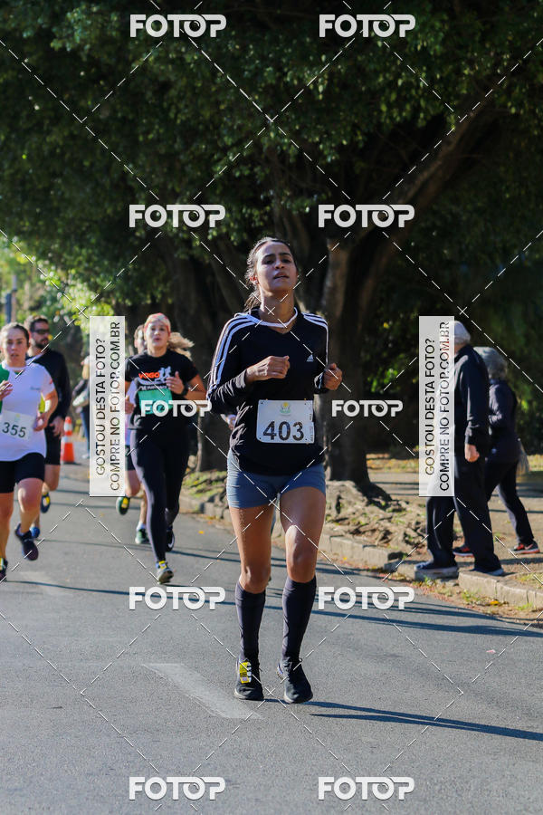 Buy your photos of the event7� Corrida APAE  - Po�os de Caldas - MG on Fotop