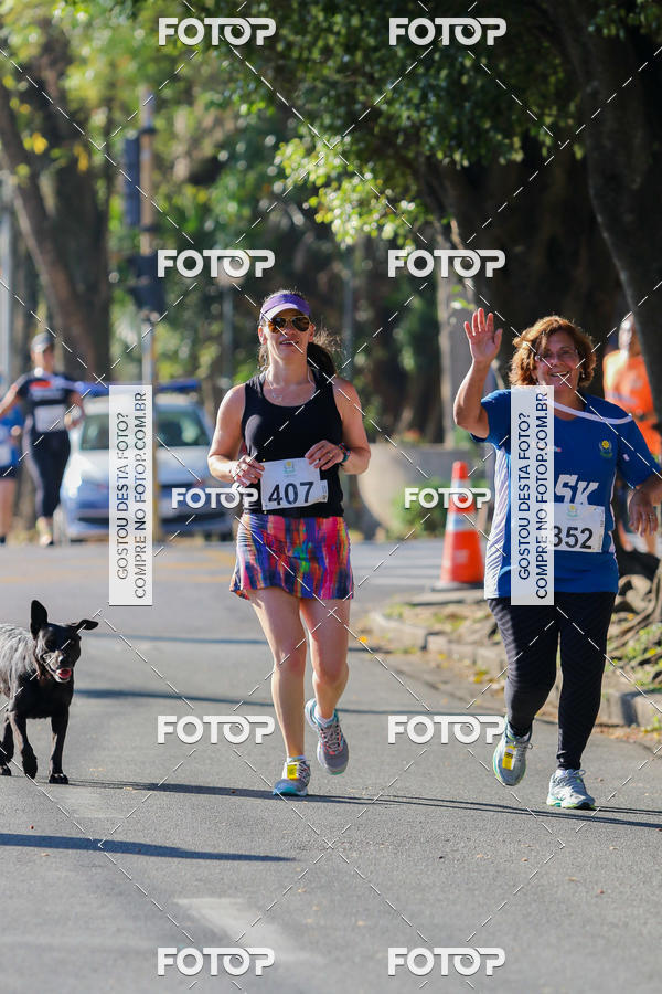 Buy your photos of the event7� Corrida APAE  - Po�os de Caldas - MG on Fotop