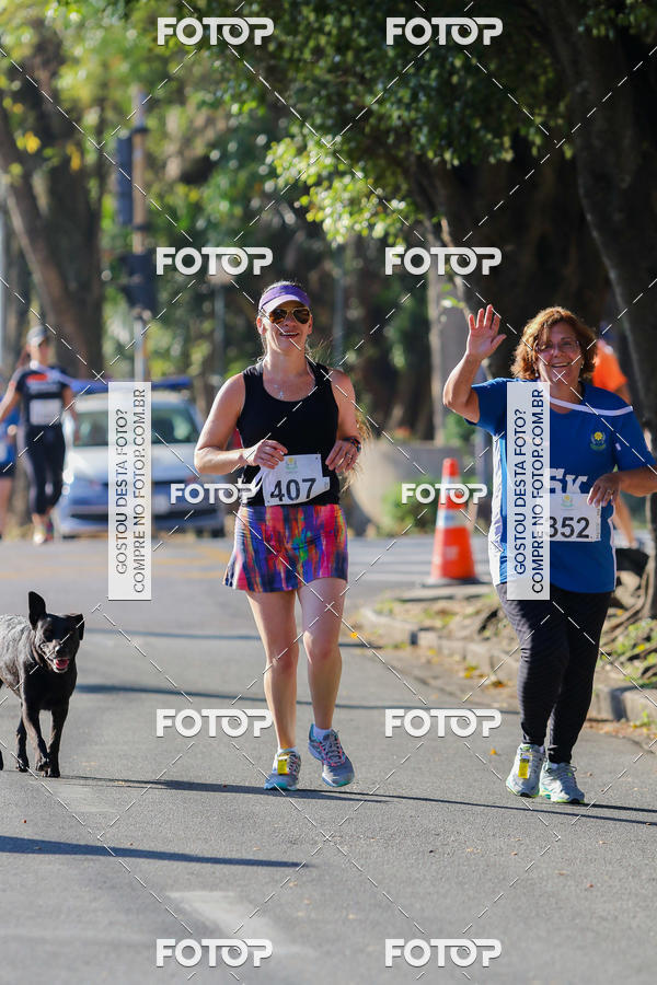 Buy your photos of the event7� Corrida APAE  - Po�os de Caldas - MG on Fotop