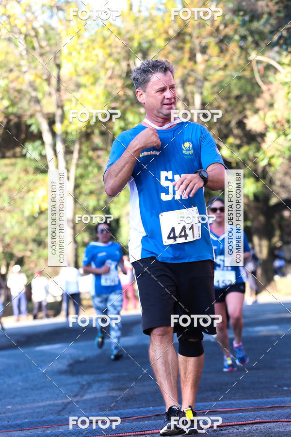 Buy your photos of the event7� Corrida APAE  - Po�os de Caldas - MG on Fotop