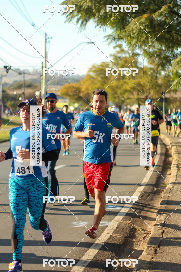 Buy your photos of the event7� Corrida APAE  - Po�os de Caldas - MG on Fotop