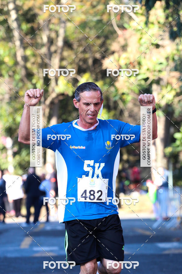 Buy your photos of the event7� Corrida APAE  - Po�os de Caldas - MG on Fotop