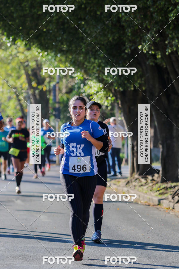 Buy your photos of the event7� Corrida APAE  - Po�os de Caldas - MG on Fotop