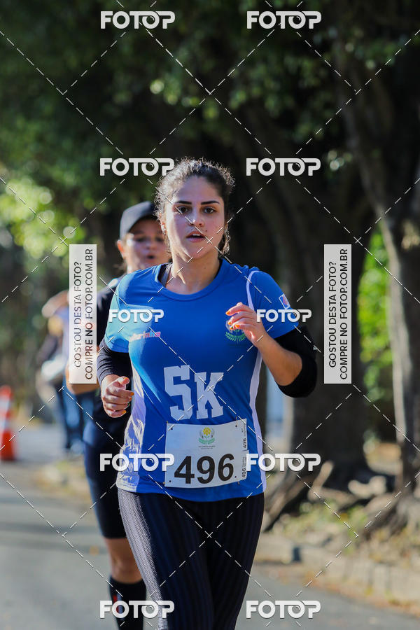 Buy your photos of the event7� Corrida APAE  - Po�os de Caldas - MG on Fotop