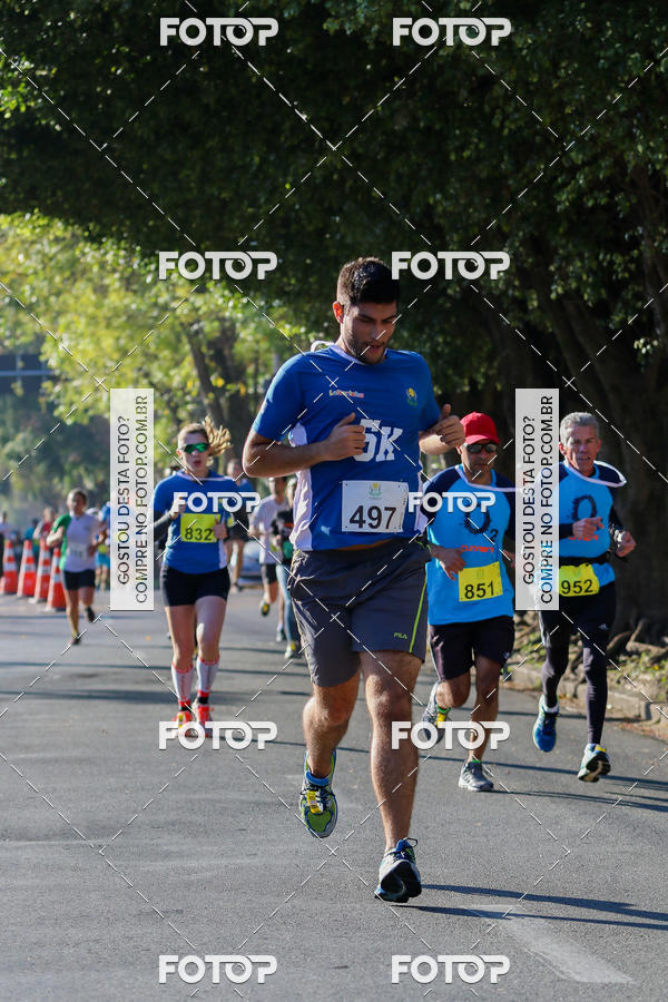 Buy your photos of the event7� Corrida APAE  - Po�os de Caldas - MG on Fotop