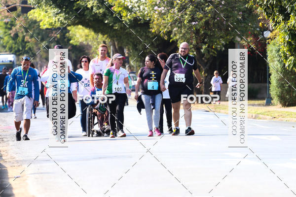 Buy your photos of the event7� Corrida APAE  - Po�os de Caldas - MG on Fotop