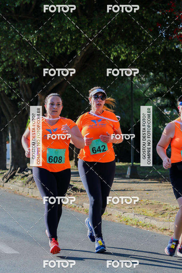 Buy your photos of the event7� Corrida APAE  - Po�os de Caldas - MG on Fotop