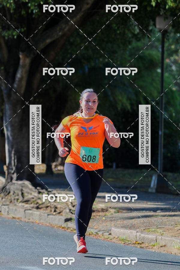 Buy your photos of the event7� Corrida APAE  - Po�os de Caldas - MG on Fotop