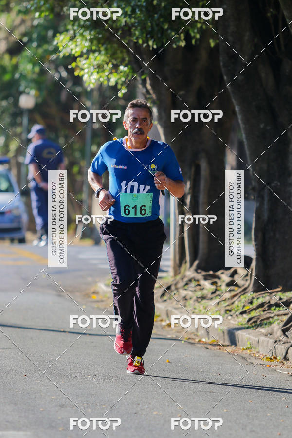 Buy your photos of the event7� Corrida APAE  - Po�os de Caldas - MG on Fotop