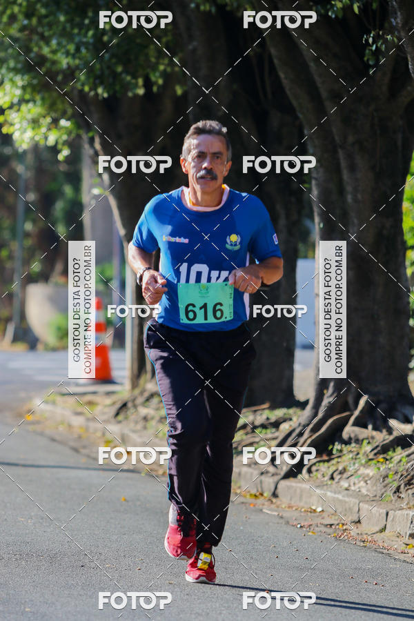 Buy your photos of the event7� Corrida APAE  - Po�os de Caldas - MG on Fotop