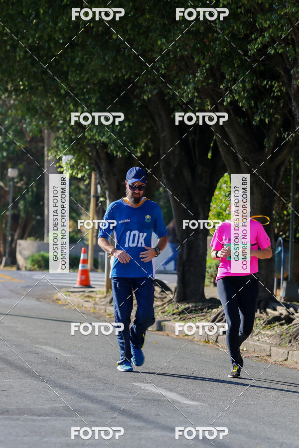 Buy your photos of the event7� Corrida APAE  - Po�os de Caldas - MG on Fotop