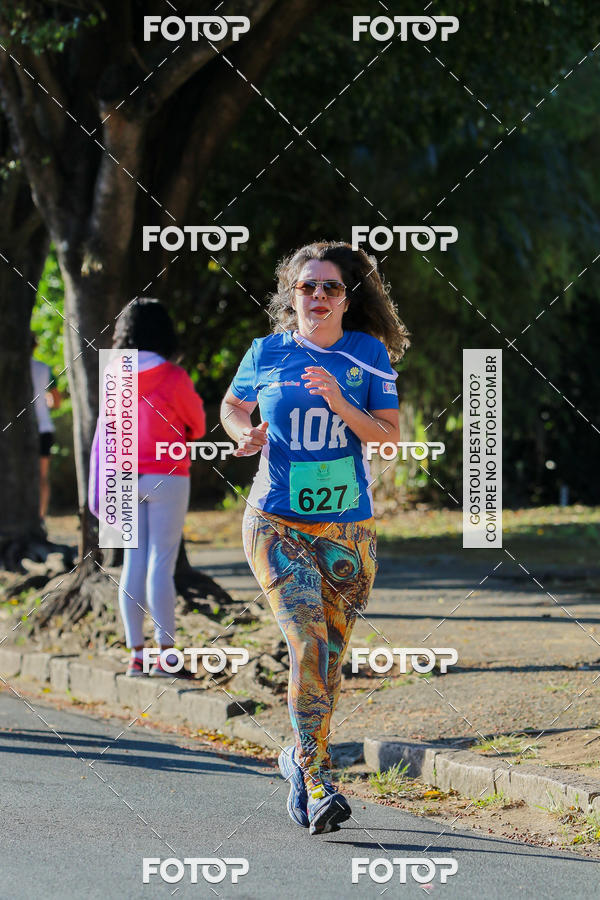 Buy your photos of the event7� Corrida APAE  - Po�os de Caldas - MG on Fotop