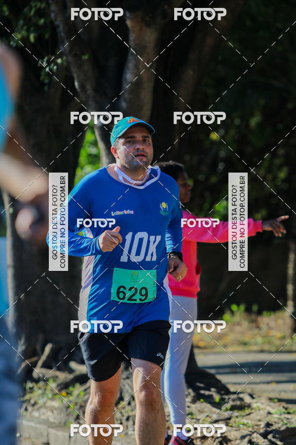 Buy your photos of the event7� Corrida APAE  - Po�os de Caldas - MG on Fotop