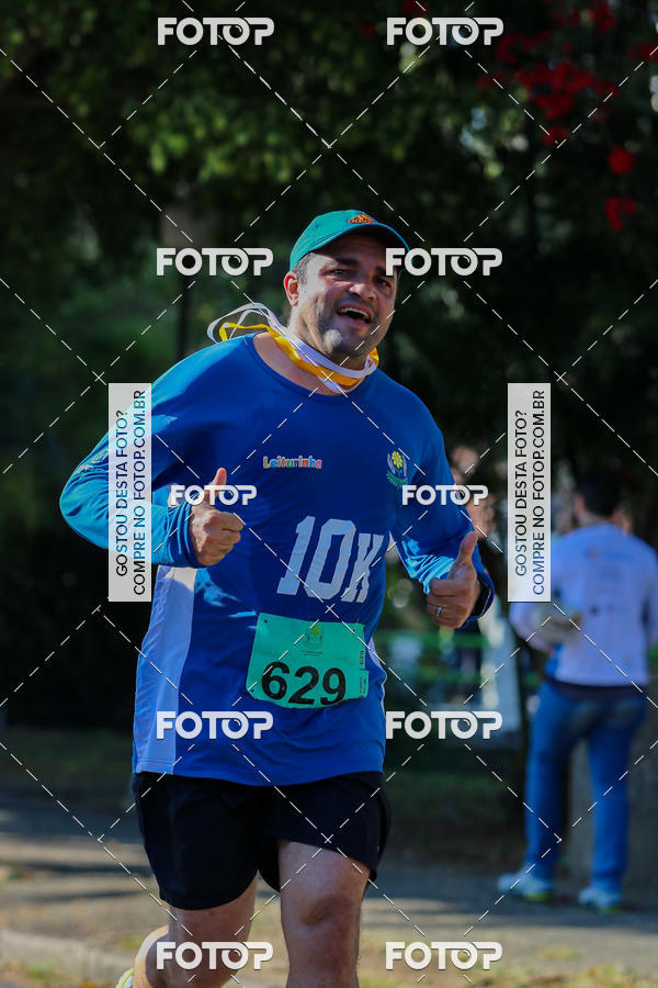 Buy your photos of the event7� Corrida APAE  - Po�os de Caldas - MG on Fotop