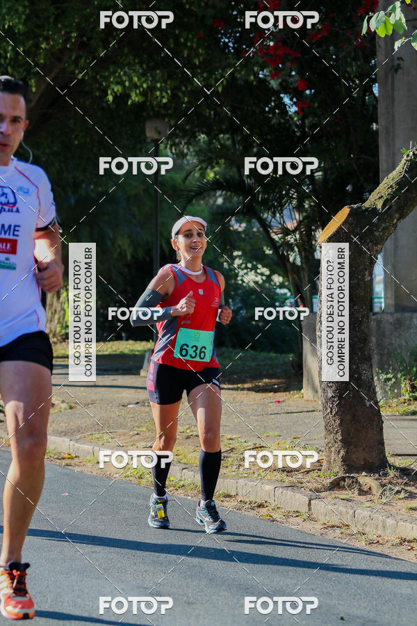 Buy your photos of the event7� Corrida APAE  - Po�os de Caldas - MG on Fotop