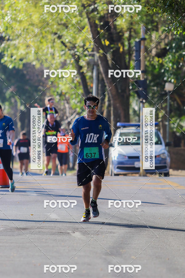 Buy your photos of the event7� Corrida APAE  - Po�os de Caldas - MG on Fotop