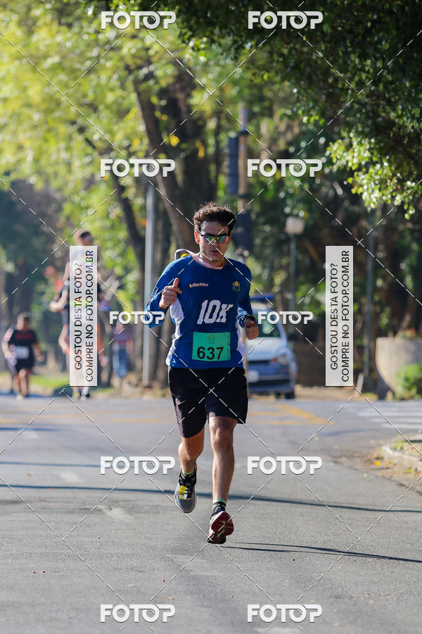 Buy your photos of the event7� Corrida APAE  - Po�os de Caldas - MG on Fotop