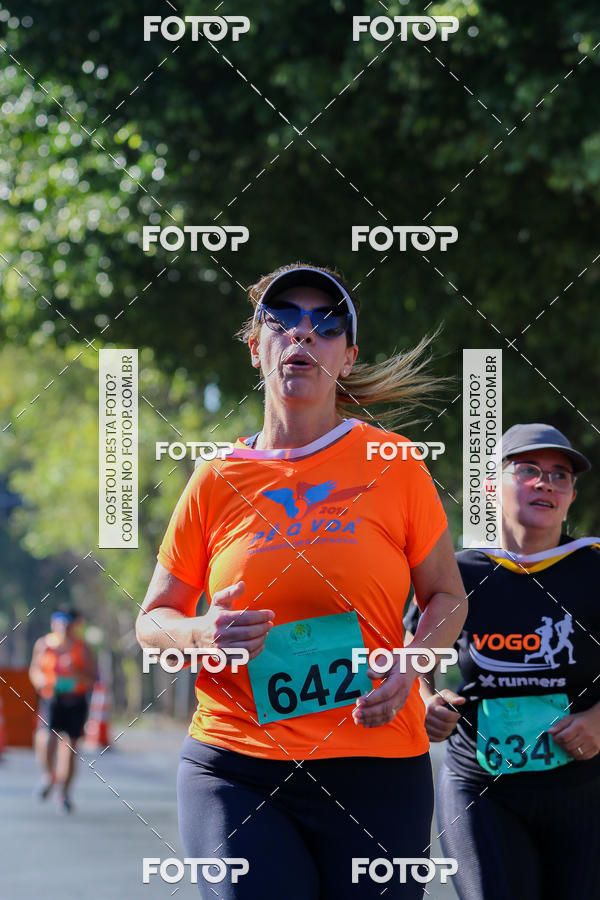 Buy your photos of the event7� Corrida APAE  - Po�os de Caldas - MG on Fotop