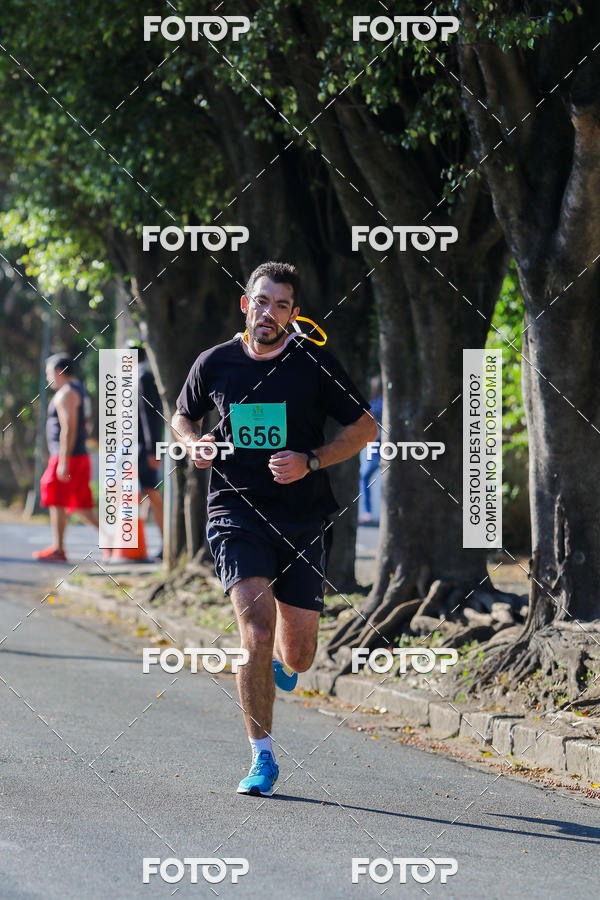 Buy your photos of the event7� Corrida APAE  - Po�os de Caldas - MG on Fotop
