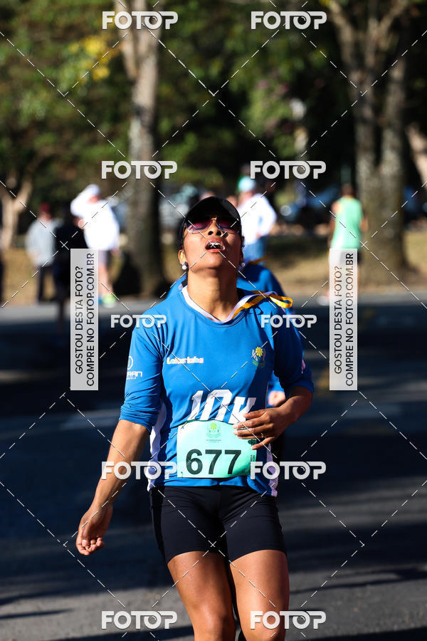 Buy your photos of the event7� Corrida APAE  - Po�os de Caldas - MG on Fotop