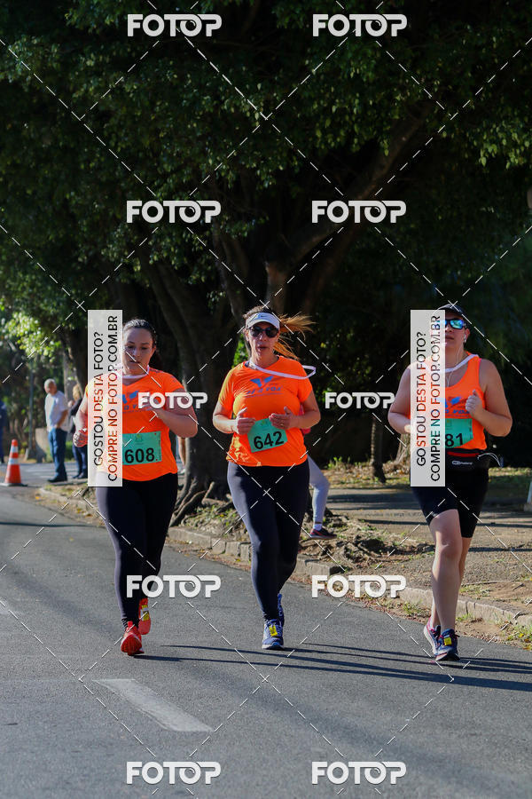 Buy your photos of the event7� Corrida APAE  - Po�os de Caldas - MG on Fotop