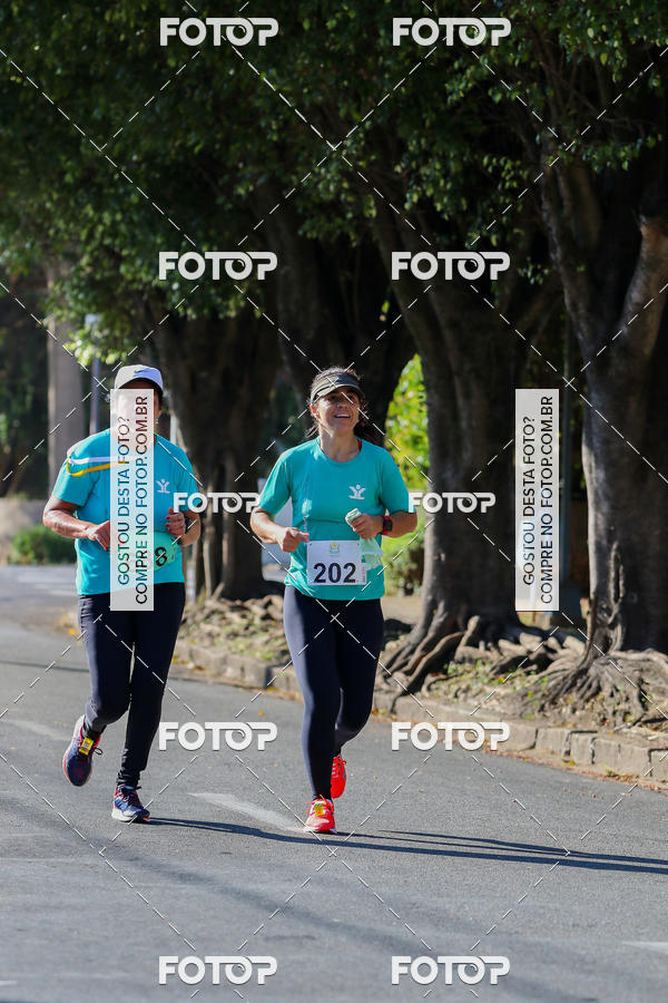 Buy your photos of the event7� Corrida APAE  - Po�os de Caldas - MG on Fotop