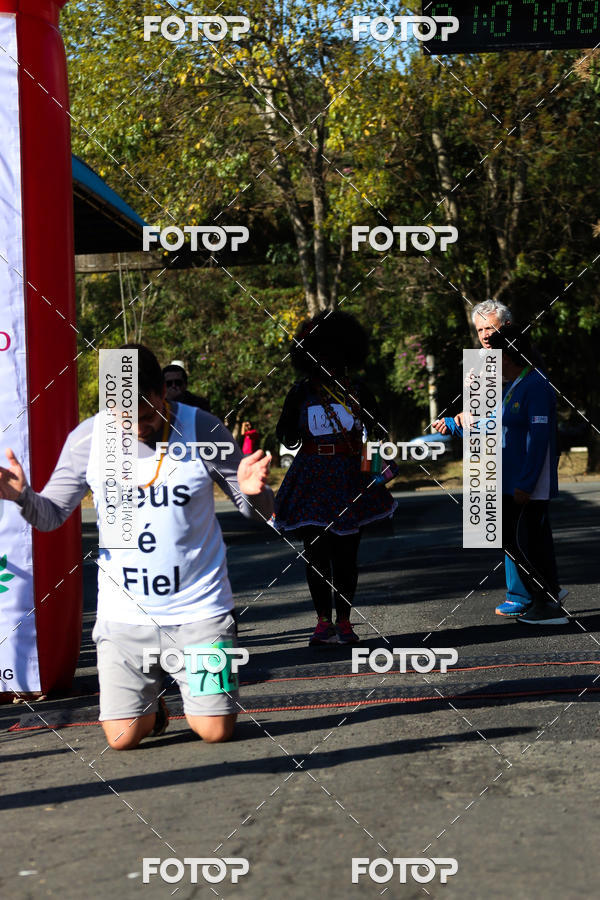 Buy your photos of the event7� Corrida APAE  - Po�os de Caldas - MG on Fotop