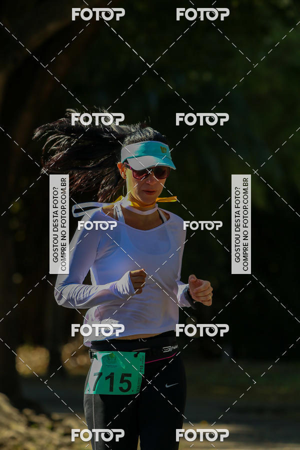 Buy your photos of the event7� Corrida APAE  - Po�os de Caldas - MG on Fotop