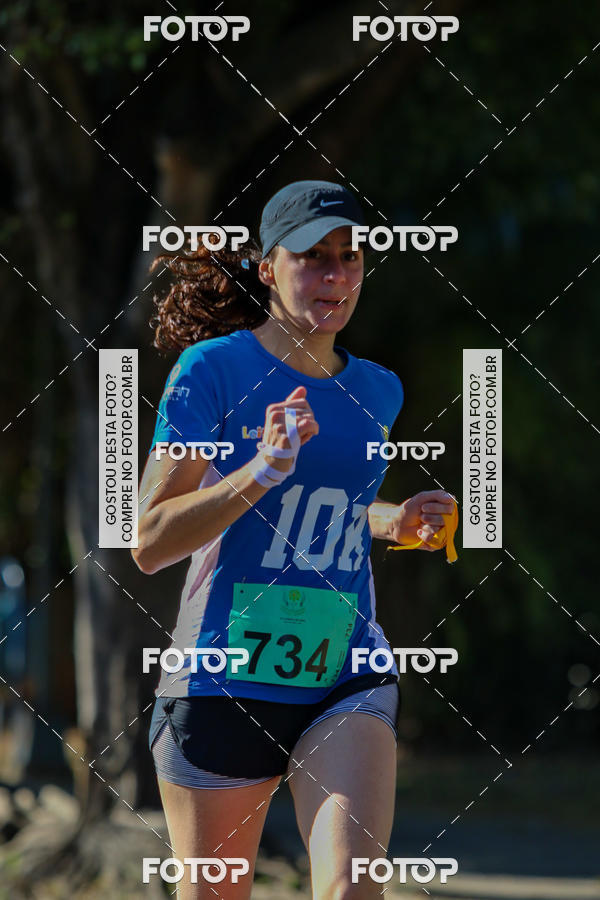 Buy your photos of the event7� Corrida APAE  - Po�os de Caldas - MG on Fotop